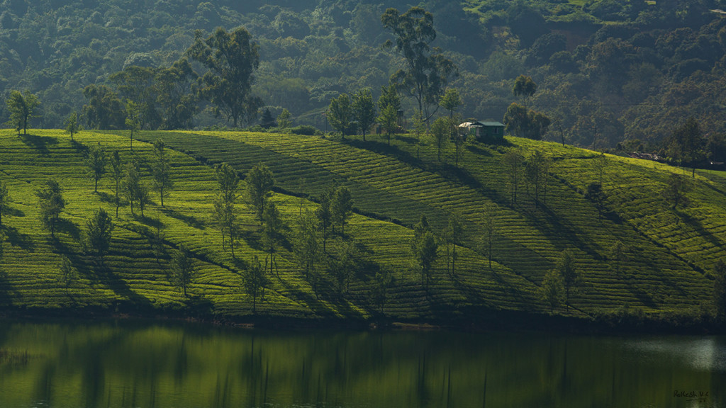 landscape-from-ooty