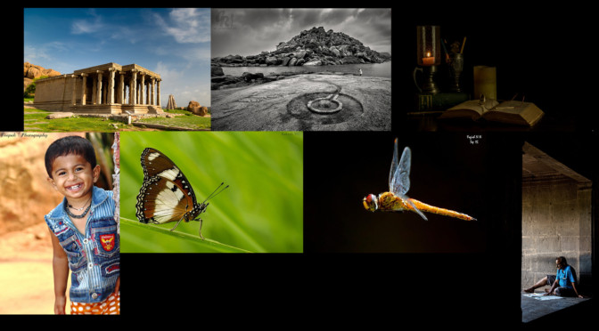 Member Photo Appreciation July 2016