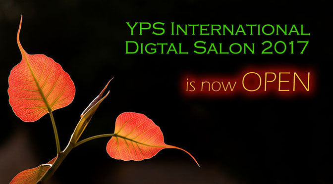 YPS International Digital Salon 2017 is now open