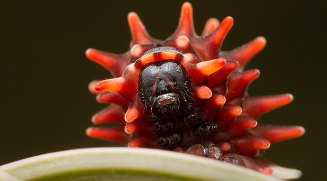 How Close Can you Get