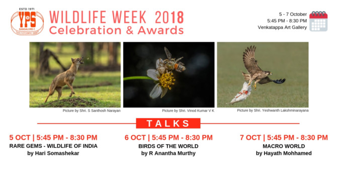 WILDLIFE WEEK CELEBRATION 2018