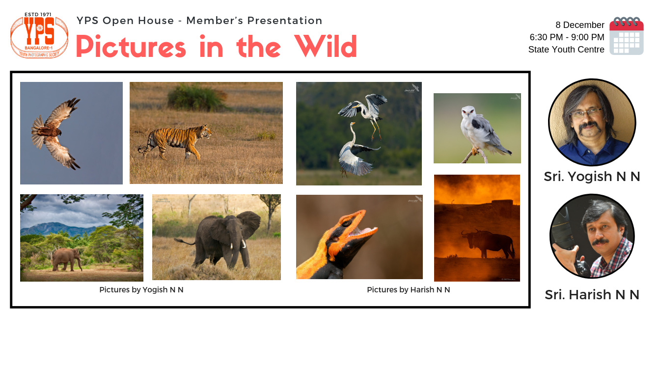 Pictures in the Wild YPS Open House 08Dec2018