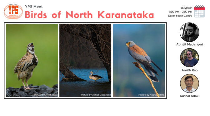 Birds of North Karnataka