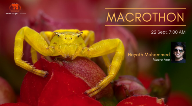 Macrothon – September 2019