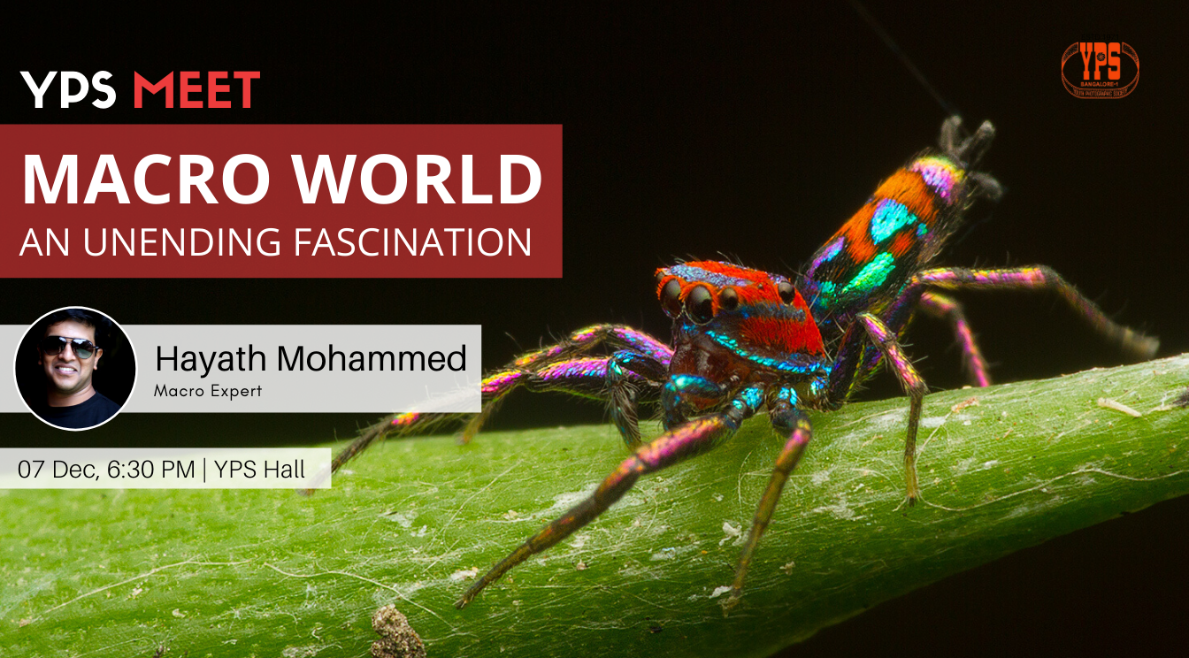 YPS Meet - Macro World - 07 Dec