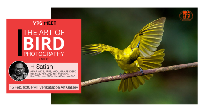 The Art of Bird Photography