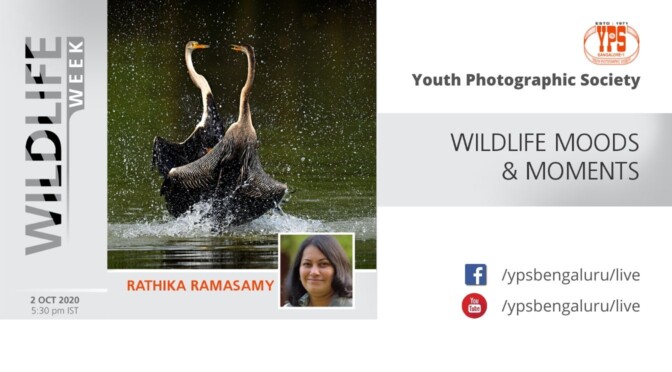 WILDLIFE WEEK 2020 – DAY 1 – RATHIKA RAMASAMY