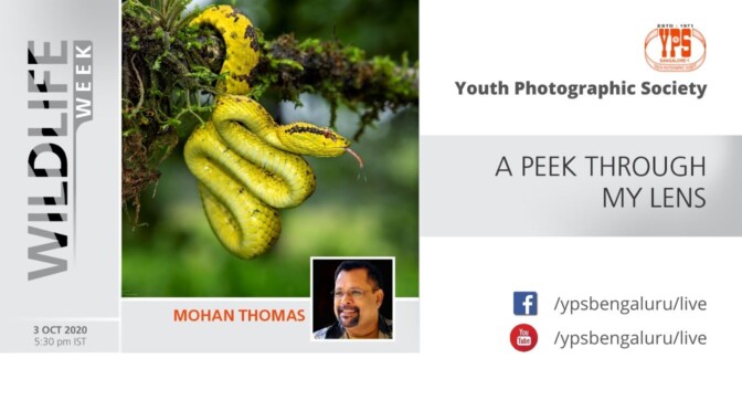WILDLIFE WEEK 2020 – DAY 2 – MOHAN THOMAS