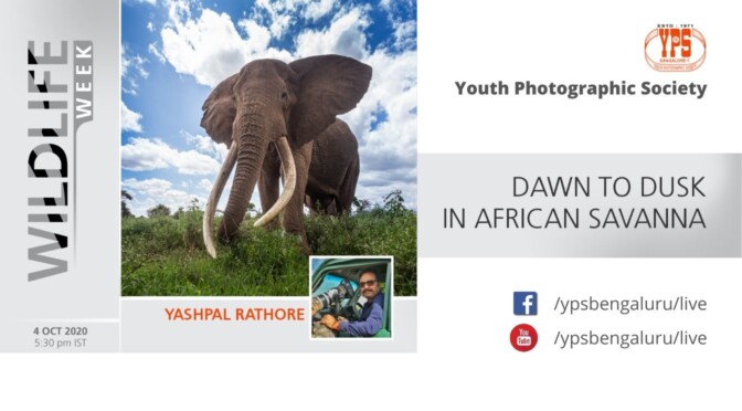 WILDLIFE WEEK 2020 – DAY 3 – YASHPAL RATHORE