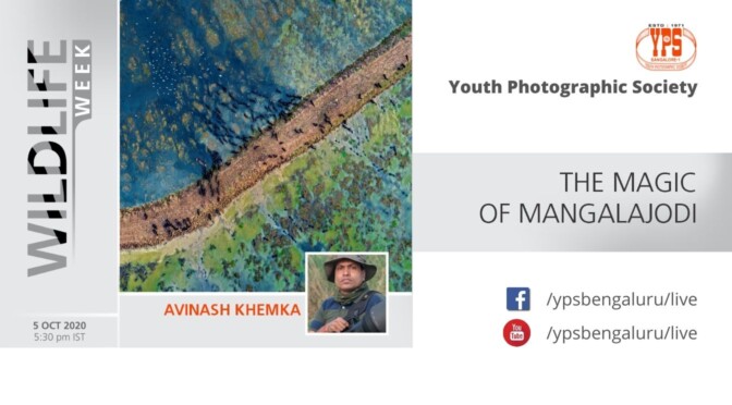 WILDLIFE WEEK 2020 – DAY 4 – AVINASH KHEMKA