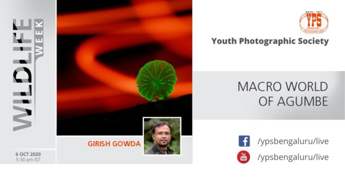 WILDLIFE WEEK 2020 – DAY 5 – GIRISH GOWDA