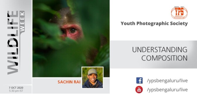 WILDLIFE WEEK 2020 – DAY 6 – SACHIN RAI