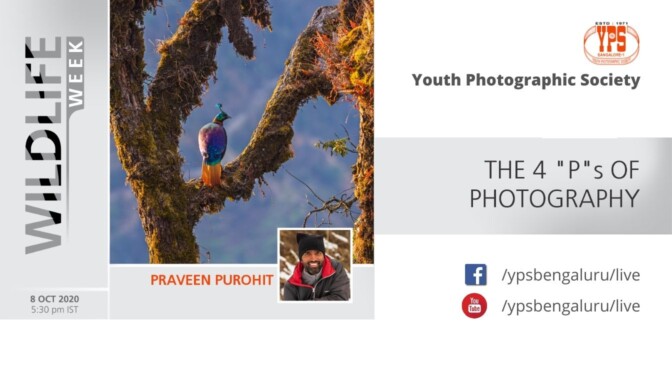 WILDLIFE WEEK 2020 – DAY 7 – PRAVEEN PUROHIT