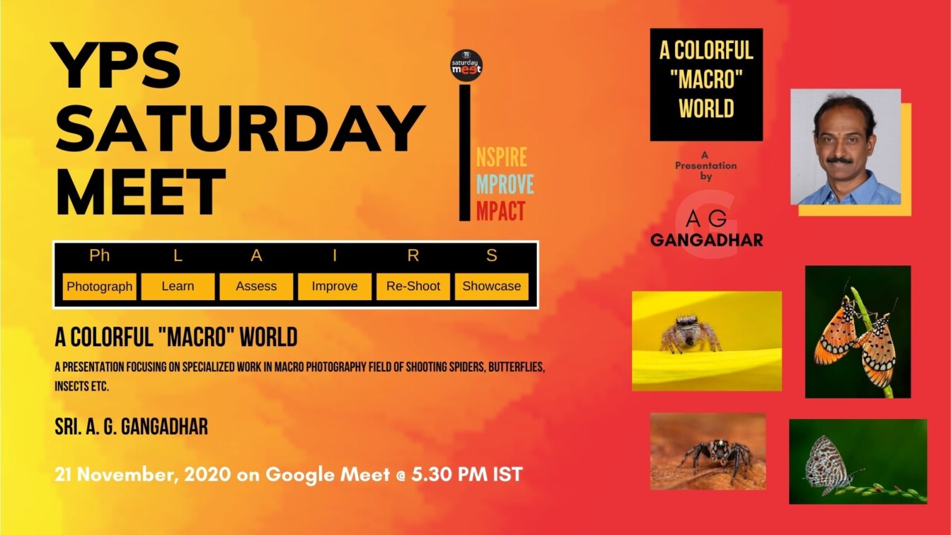 YPS Saturday Meet - A Colorful Macro World by A G Gangadhar on 21 Nov on Google Meet