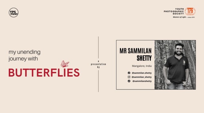 My Unending Journey With Butterflies