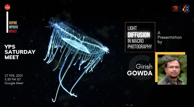 The YPS Saturday Meet – Light Diffusion in Macro Photography