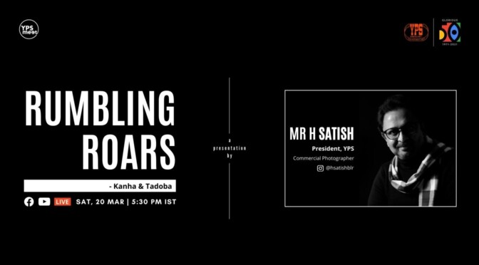 Rumbling Roars – Kanha & Tadoba