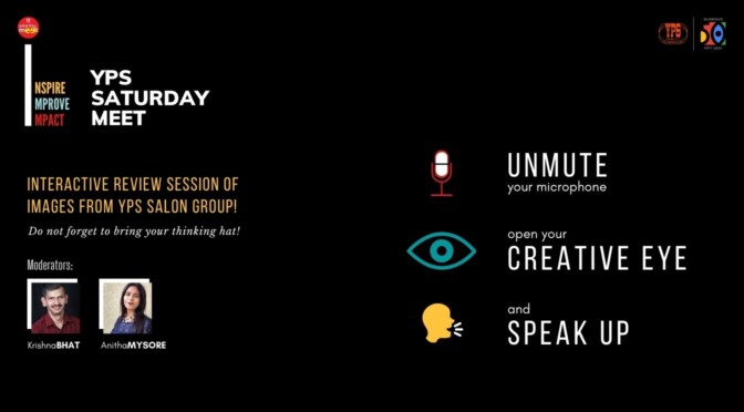 The YPS Saturday Meet – Interactive review session of images from YPS Salon Group