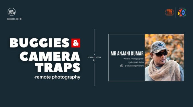 Buggies and Camera Traps – Remote Photography