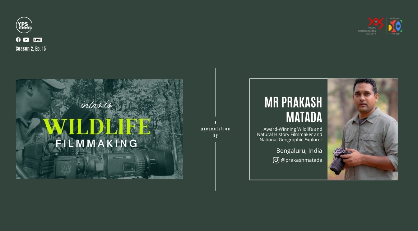 YPS Meet Intro to Wildlife Filmmaking by Mr Prakash Matada on Aug 15 on YPS Youtube and YPS Facebook at 5:30PM IST
