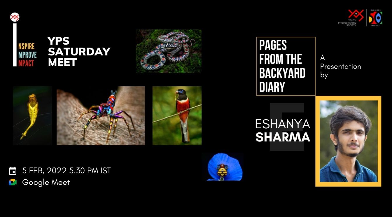 YPS Saturday Meet - Pages from the backyard diary A Presentation by Eshanya Sharma on 5 Feb at 5-30 PM IST on Google Meet