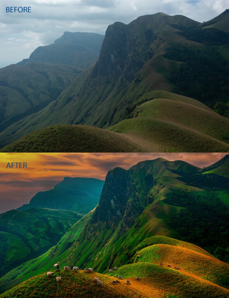 Heidi - Image by Arjun Haarith