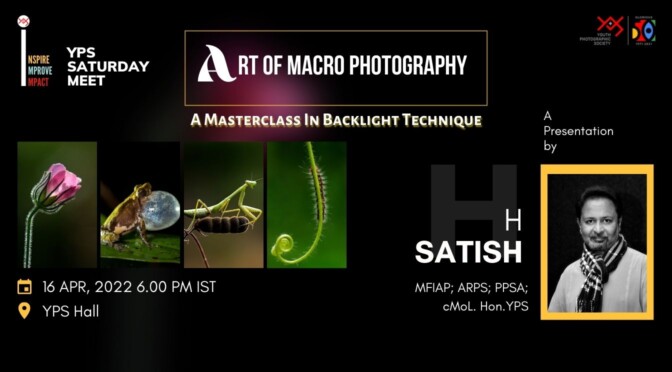 YPS Saturday Meet – Art of Macro – A Masterclass in Backlight Technique
