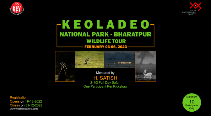 YPS Photo Tour To Keoladeo  National Park, Bharatpur Feb 2023