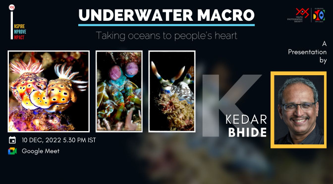 Underwater Macro – taking oceans to people’s heart