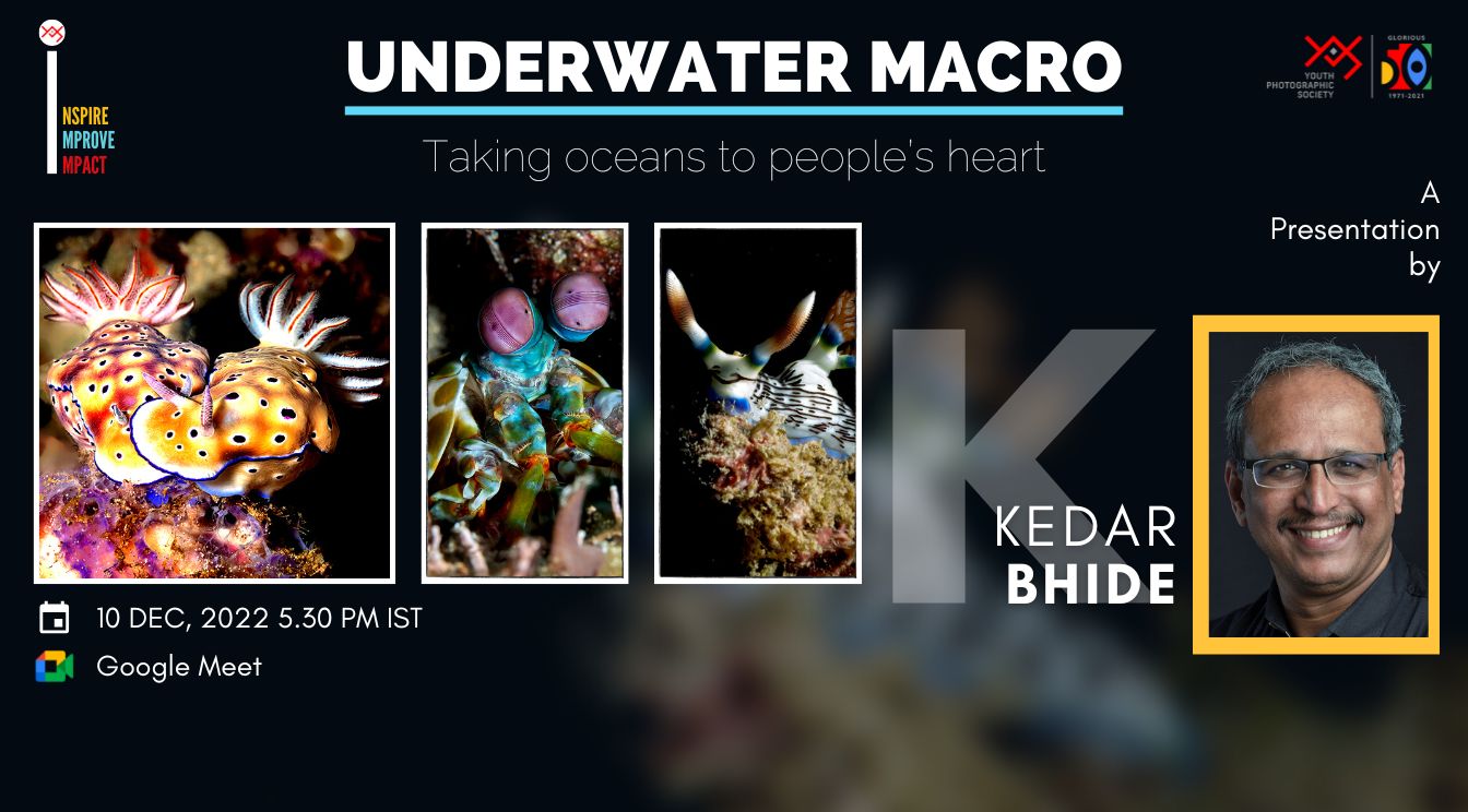 Underwater Macro - taking oceans to people’s heart