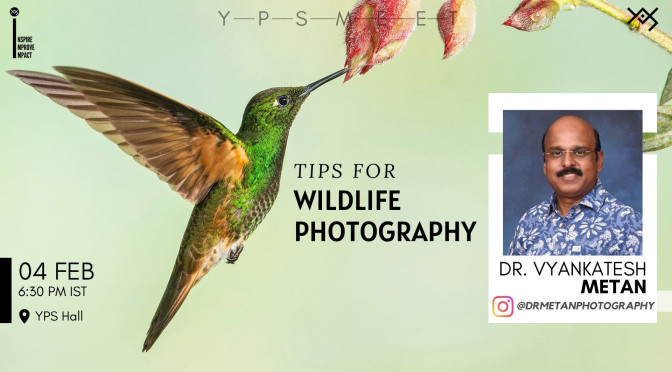 YPS Saturday Meet – Tips For Wildlife Photography