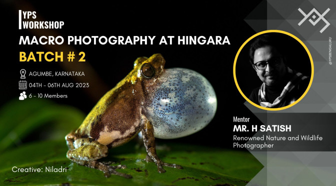 YPS Macro Photography Workshop at Hingara from Aug 4th - 6th 2023, Mentored by H Satish