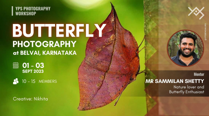 YPS Workshop - Butterfly Photography at Belvai by Mr Sammilan Shetty