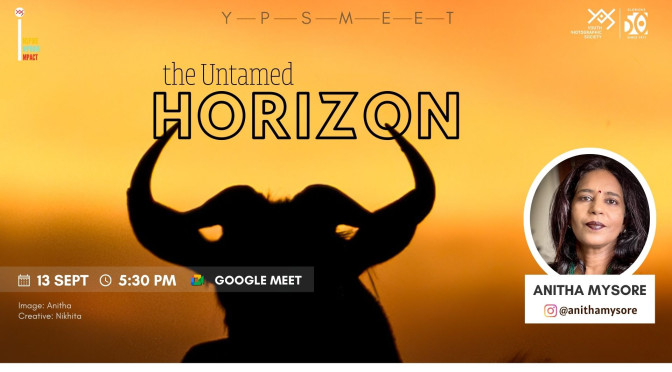The Untamed Horizon
