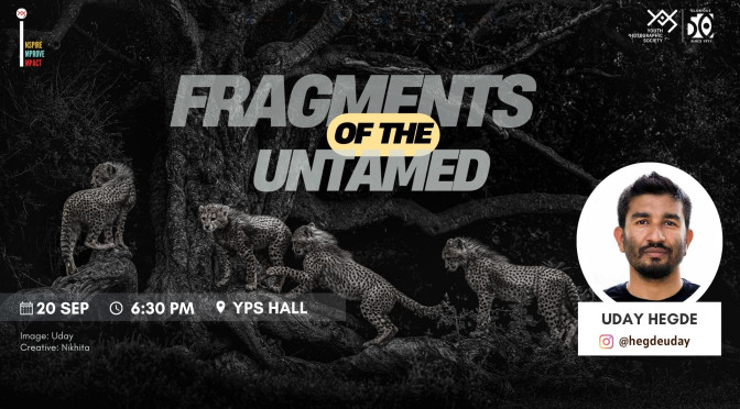 Fragments of the Untamed