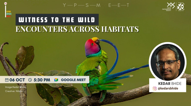 Witness to the Wild: Encounters Across Habitats