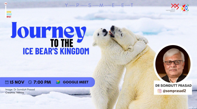 Journey To The Ice Bear’s Kingdom