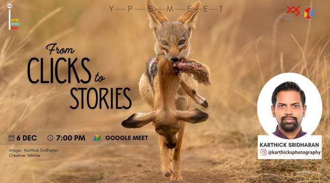 From Clicks to Stories