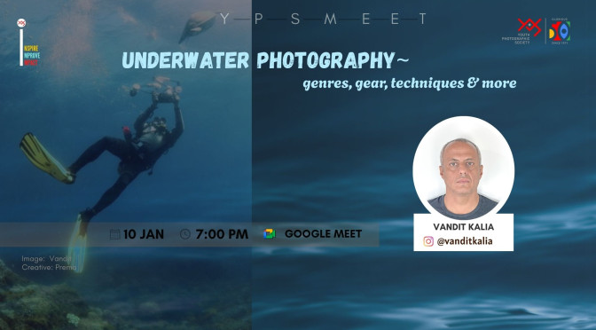 Underwater Photography – genres, gear, techniques & more