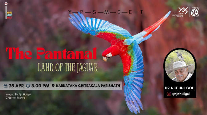 The Pantanal – Land of the Jaguar