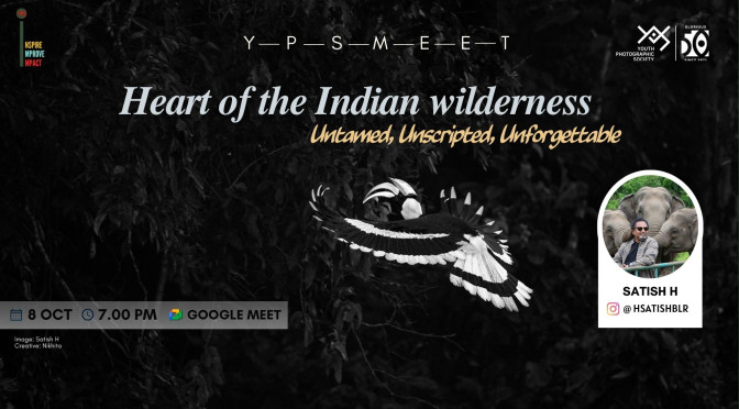 Heart of Indian wilderness – Untamed, Unscripted, Unforgettable