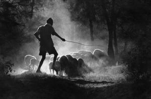 Just-a-Sunbeam-C-Rajagopal