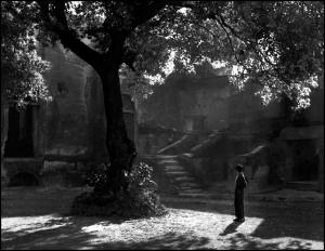 On-a-Misty-Morning Dr-D-V-Rao