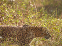 whatsapp-image-2026-01-05-at-12