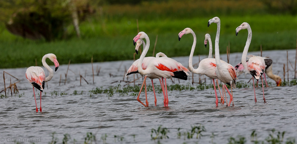 whatsapp-image-2026-02-17-at-10